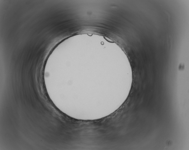 X0000101700289200808071206