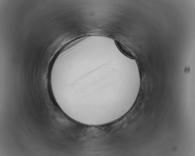 X0000101700290200808071206