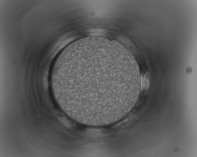 X0000101700291200808071206