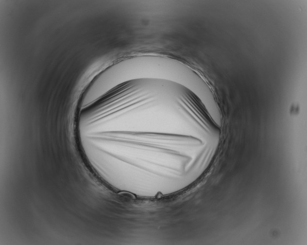 X0000101700293200808071205