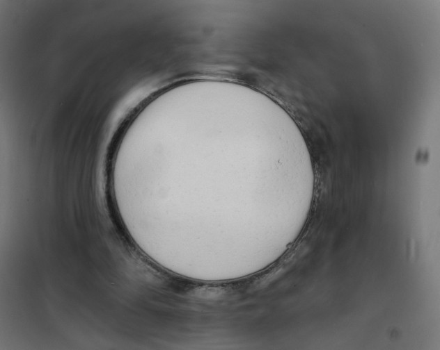 X0000101700294200808071205