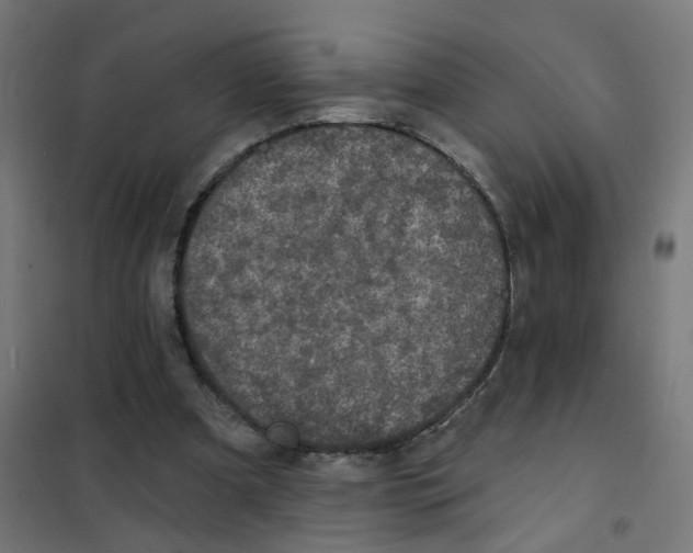 X0000101700297200808071205