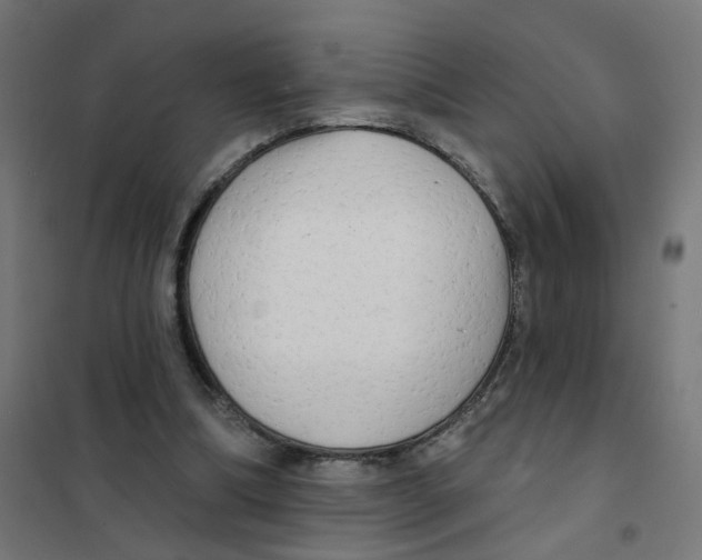 X0000101700298200808071205