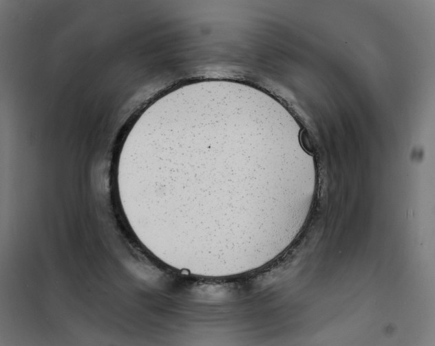 X0000101700299200808071205