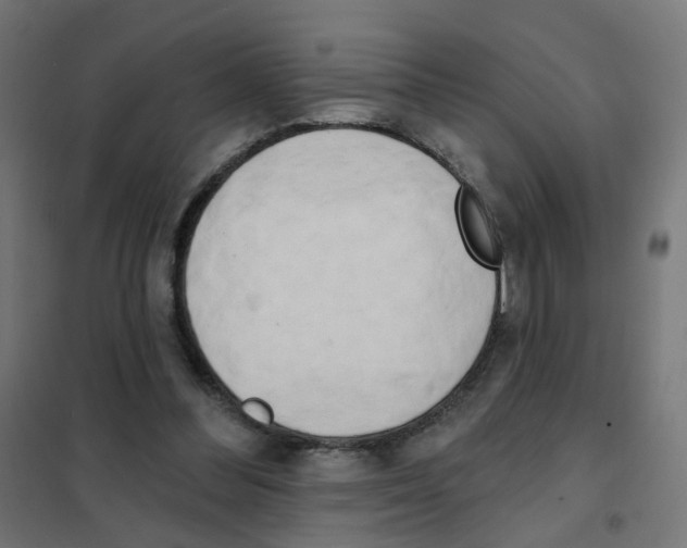 X0000101700300200808071205