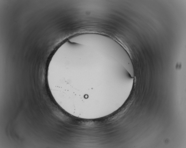 X0000101700301200808071205