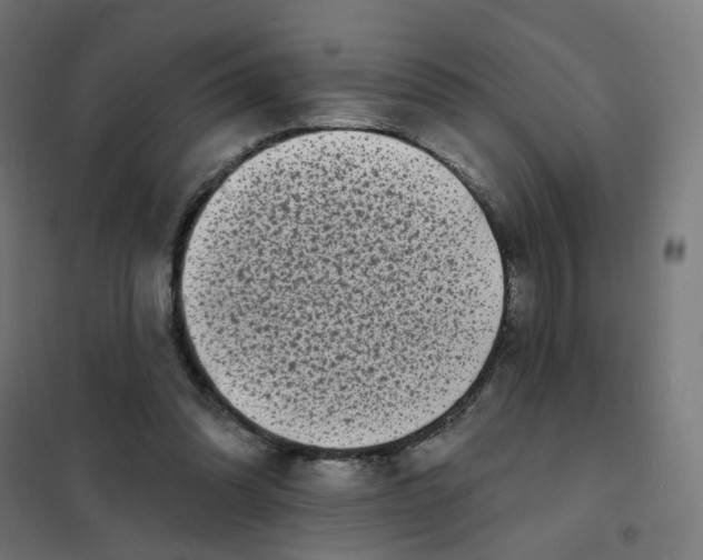 X0000101700302200808071205