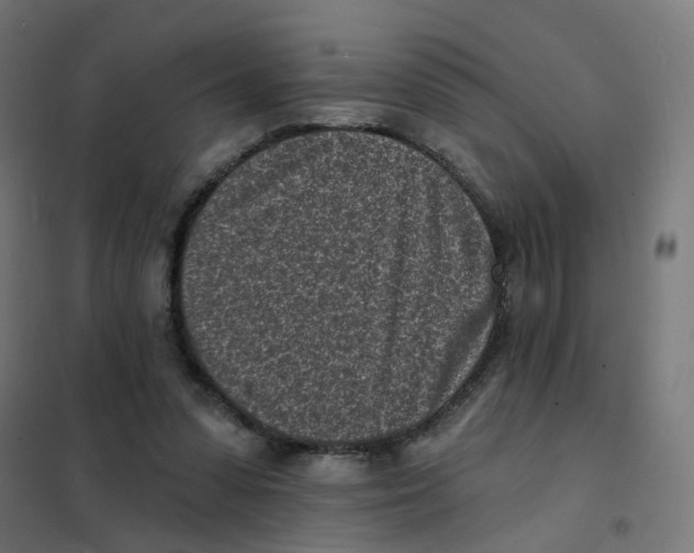 X0000101700303200808071205