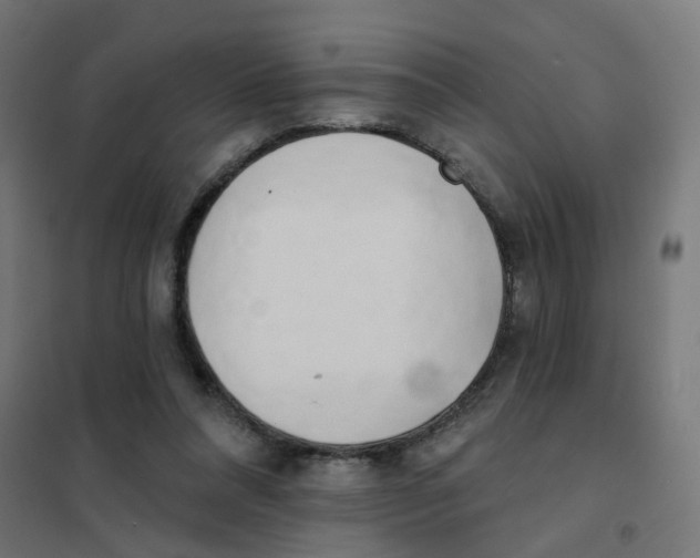X0000101700304200808071205
