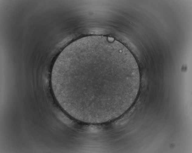 X0000101700305200808071205