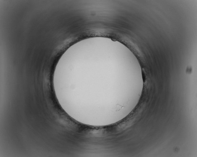 X0000101700306200808071205