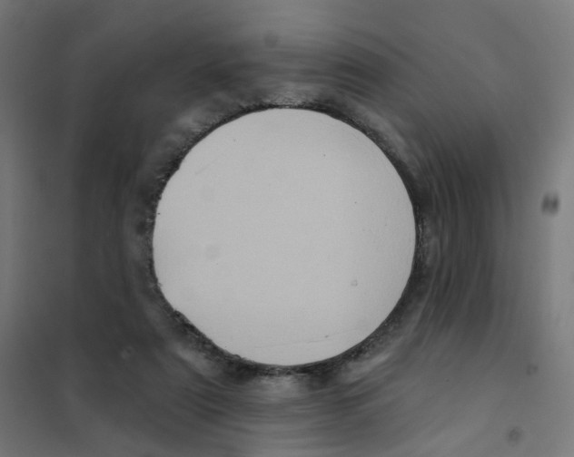 X0000101700307200808071205