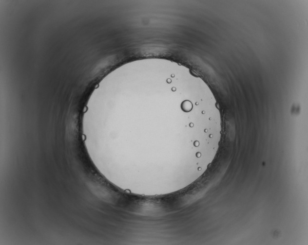 X0000101700308200808071205
