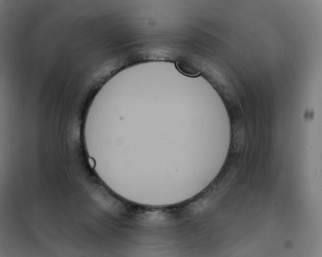 X0000101700310200808071205