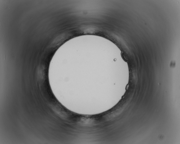 X0000101700311200808071205