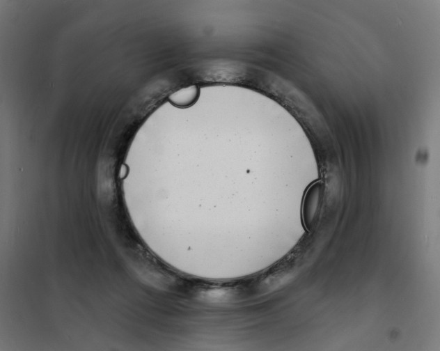 X0000101700312200808071205