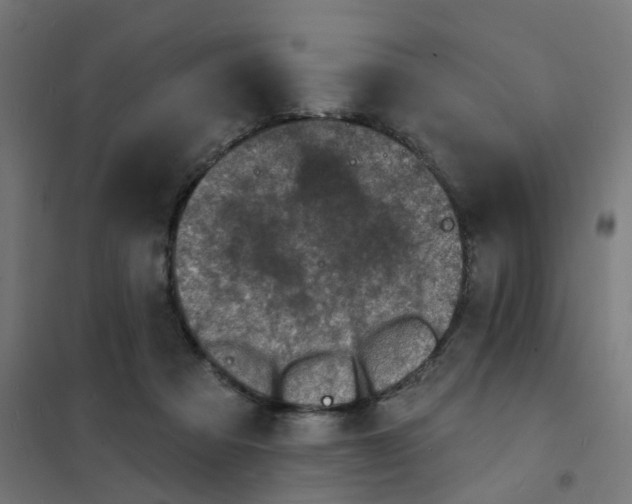 X0000101700313200808071205