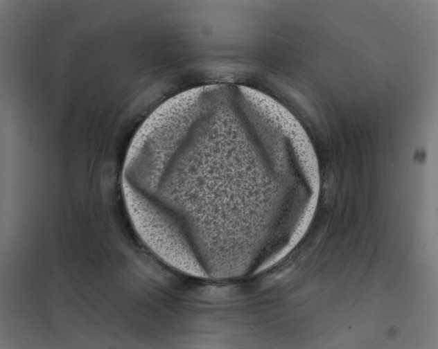 X0000101700314200808071205