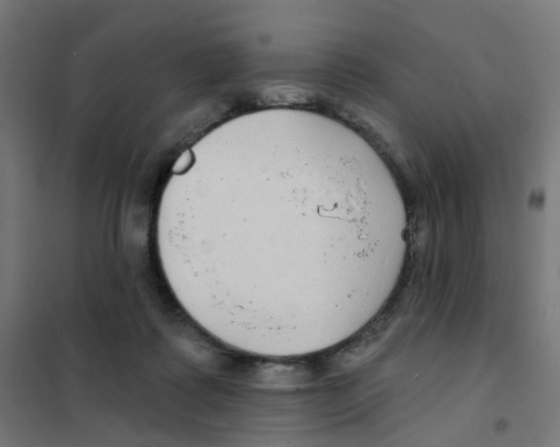 X0000101700315200808071205