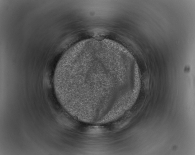 X0000101700316200808071205