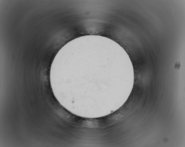 X0000101700317200808071205