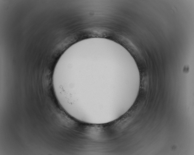 X0000101700318200808071205