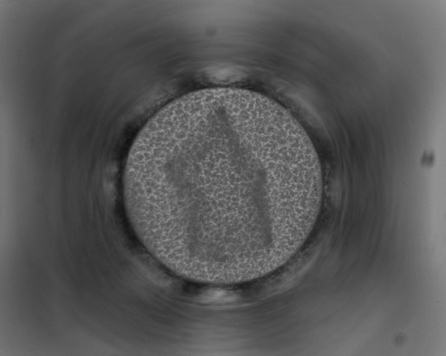 X0000101700319200808071205