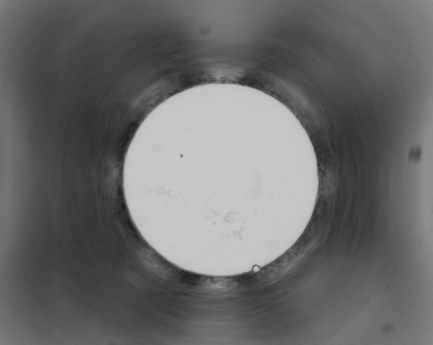 X0000101700321200808071205