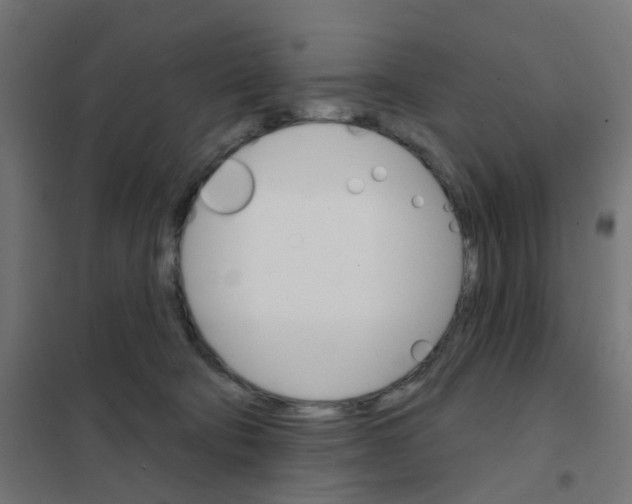X0000101700322200808071205