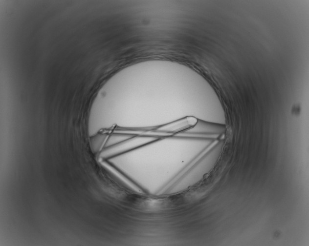 X0000101700323200808071205