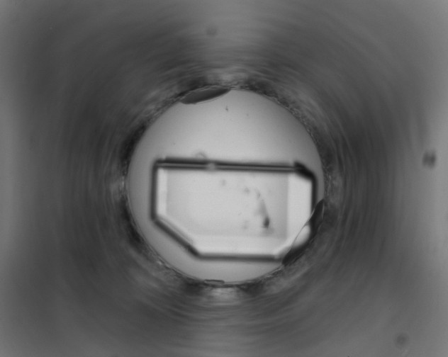 X0000101700324200808071205