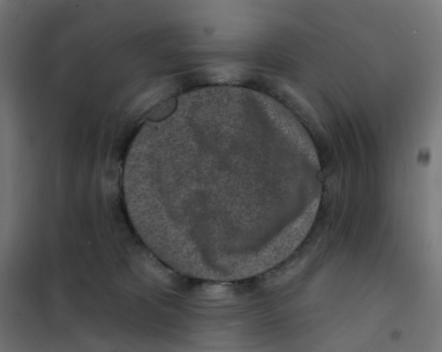 X0000101700325200808071205