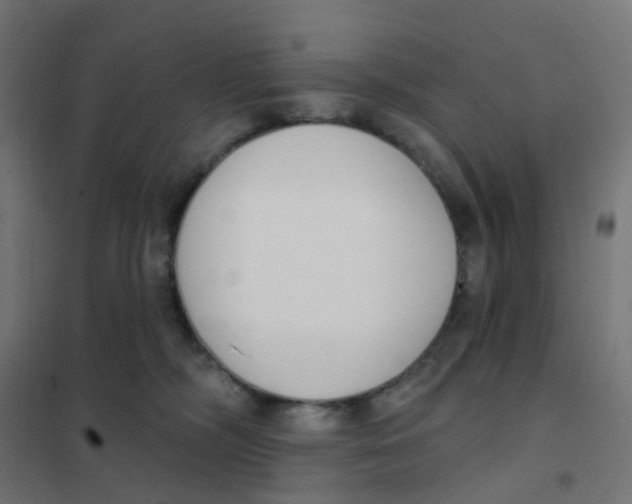 X0000101700326200808071205