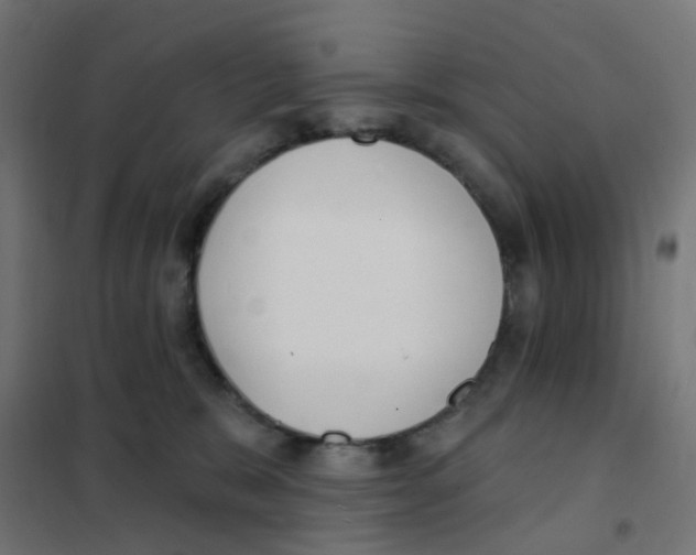 X0000101700327200808071205