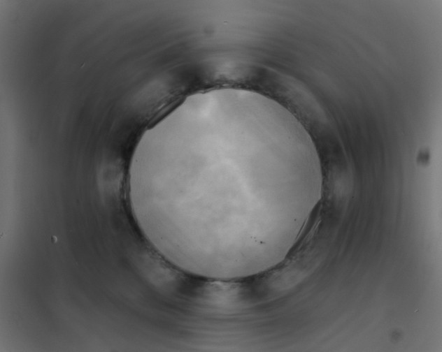 X0000101700328200808071205