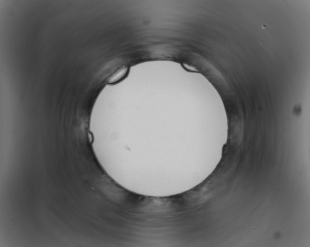 X0000101700329200808071205