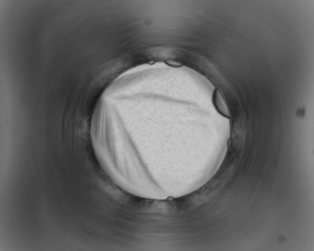 X0000101700330200808071205
