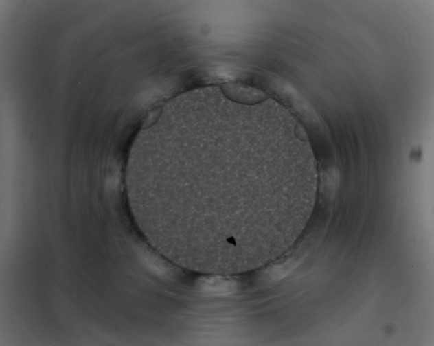 X0000101700331200808071205