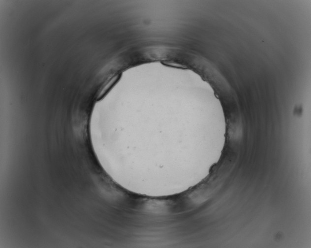 X0000101700332200808071205