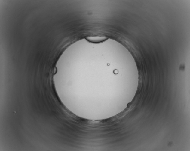 X0000101700333200808071205
