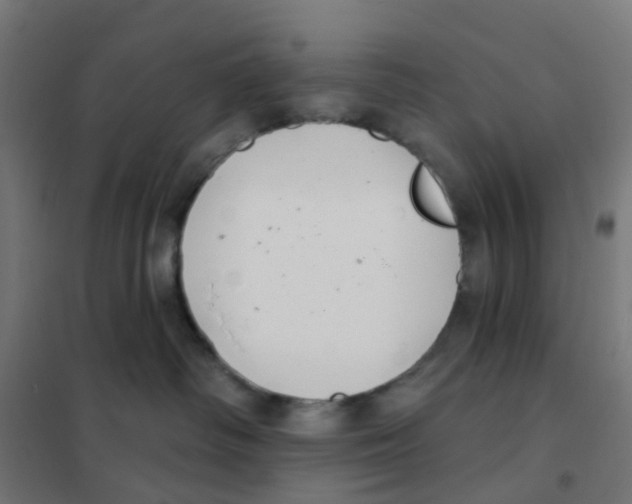 X0000101700334200808071205
