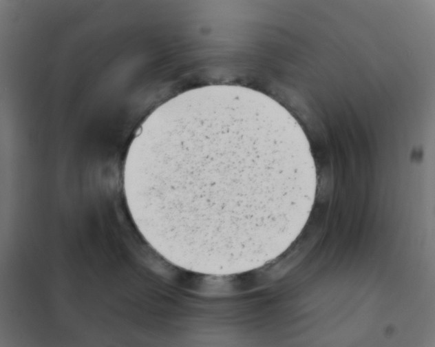 X0000101700335200808071205