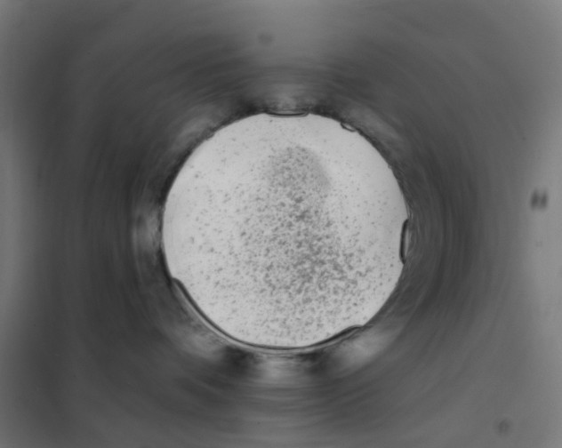 X0000101700336200808071205