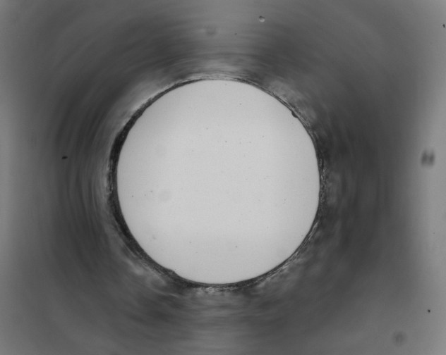 X0000101700338200808071204