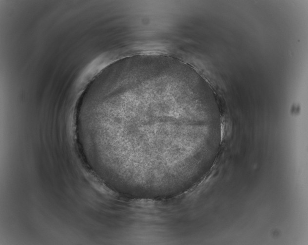 X0000101700339200808071204
