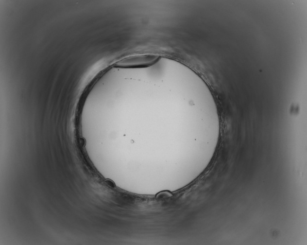 X0000101700340200808071204