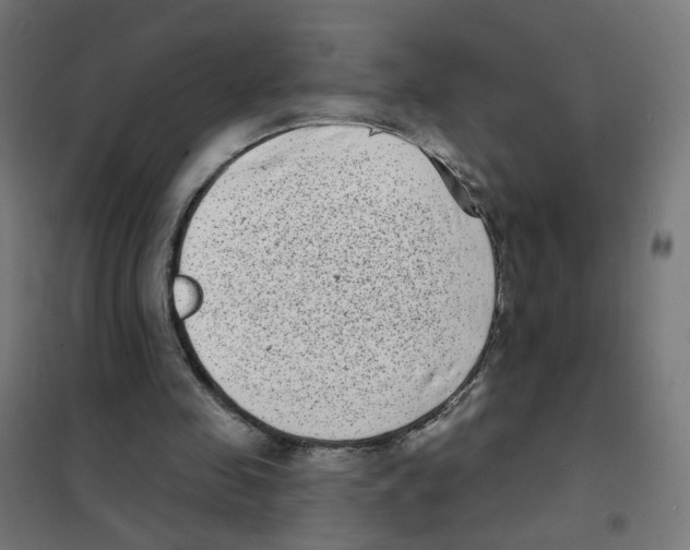 X0000101700341200808071204
