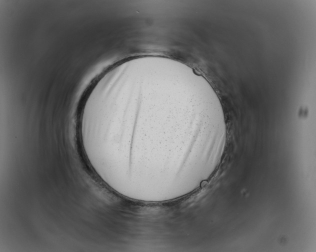 X0000101700342200808071204