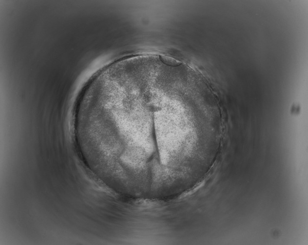 X0000101700343200808071204