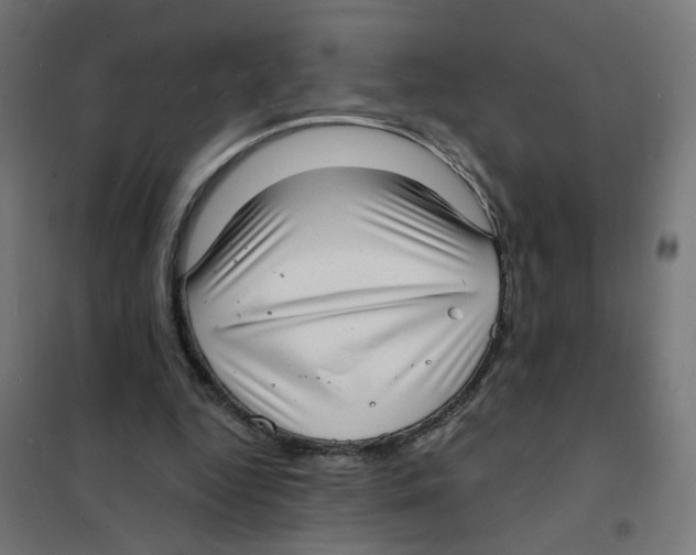 X0000101700344200808071204